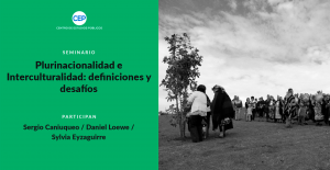 Plurinacionalidad e Interculturalidad: definiciones y desafíos