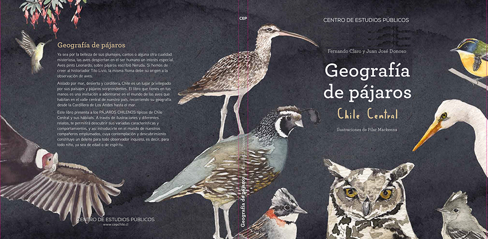 Geografía de Pájaros. Chile Central