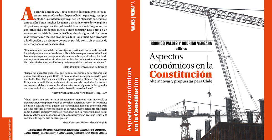 Aspectos económicos de la constitución. Alternativas y propuestas para Chile