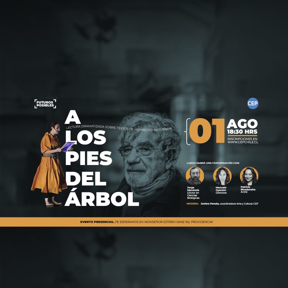 A los pies del árbol