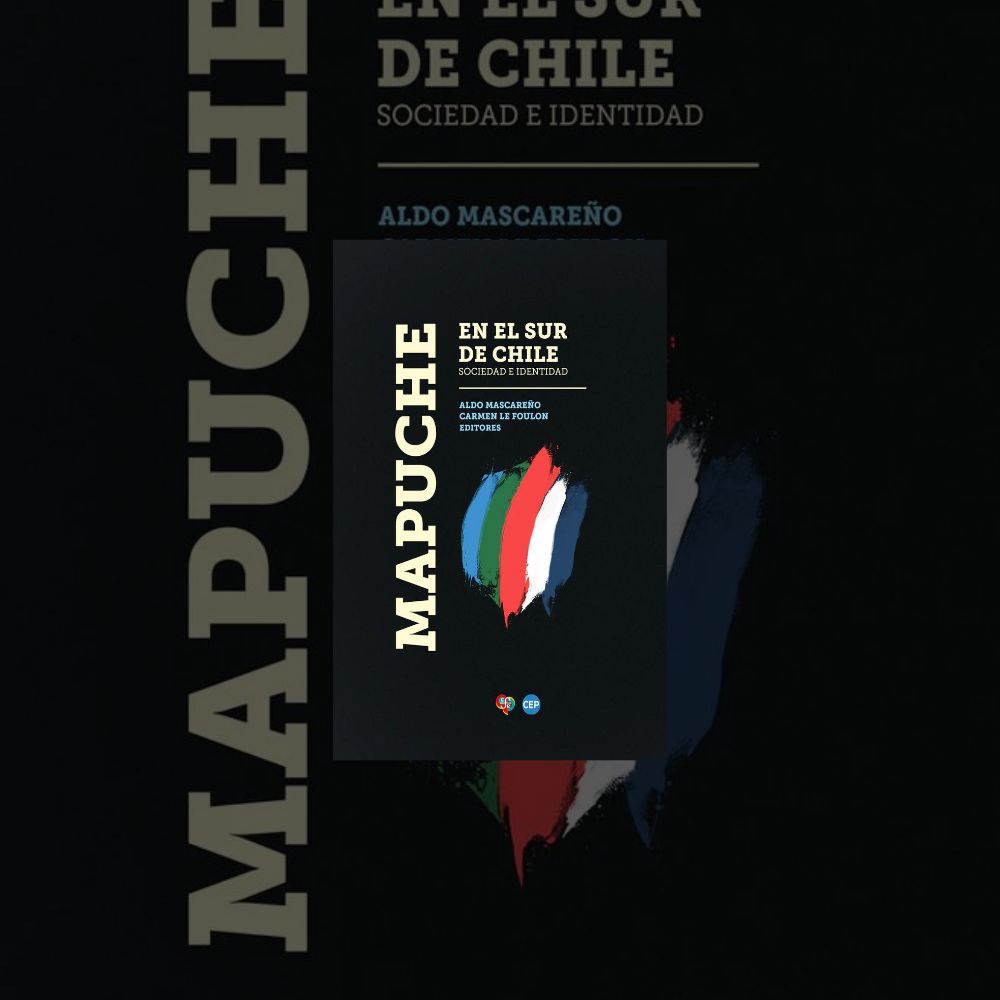 Mapuche en el sur de Chile. Sociedad e identidad