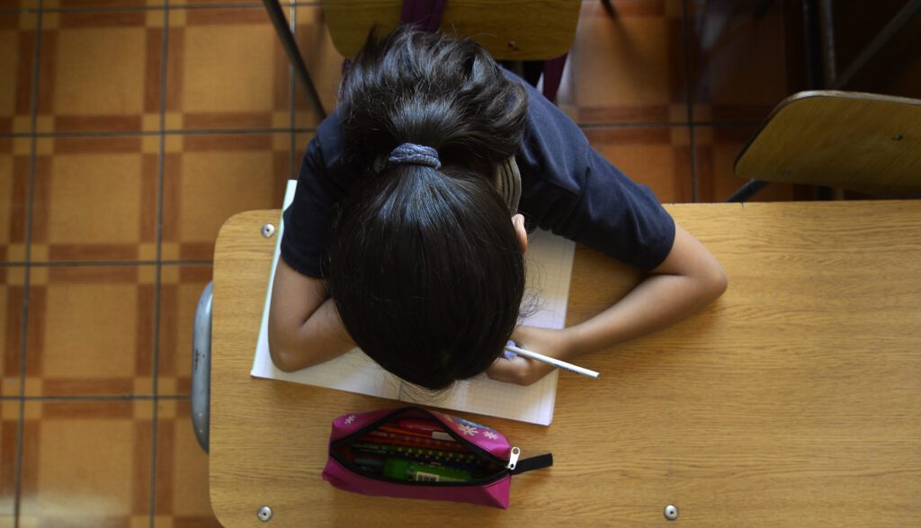 Propuestas para fortalecer la arquitectura y gobernanza de la Nueva Educación Pública
