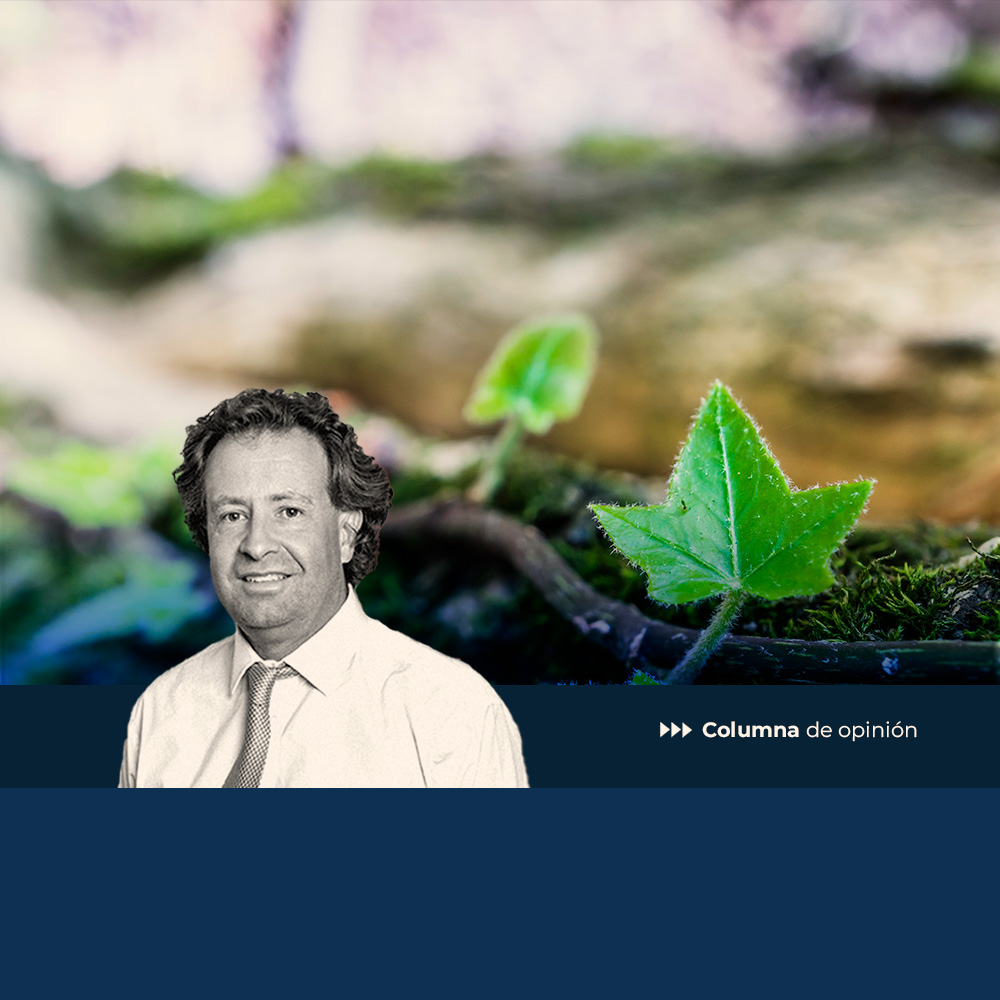 La naturaleza, nuestro hogar