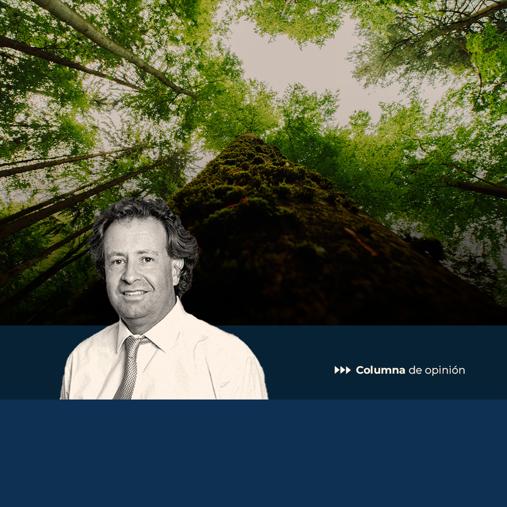La economía de la naturaleza