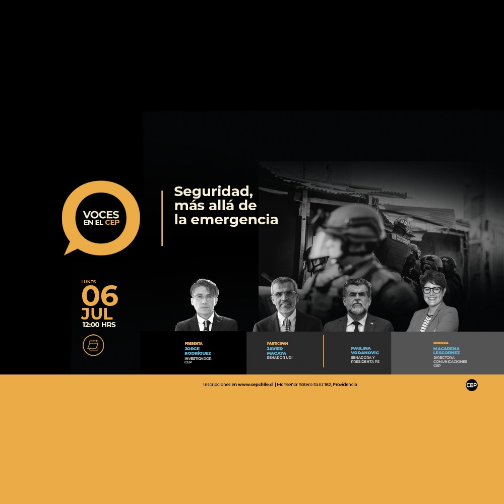 Seguridad, más allá de la emergencia