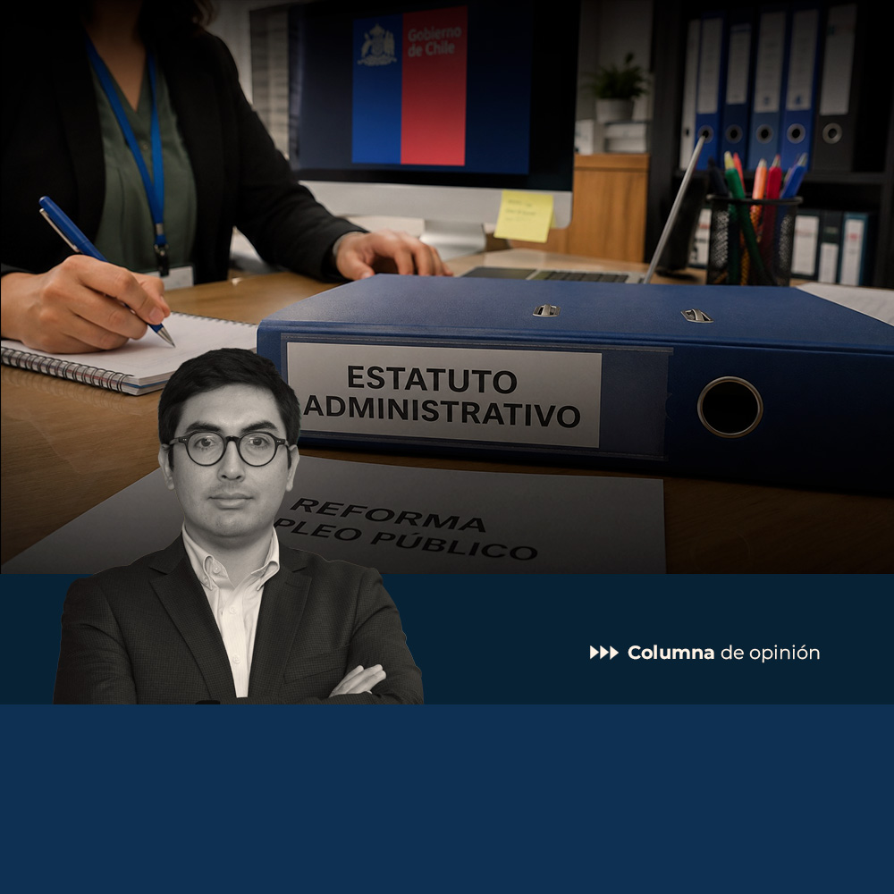 Más allá des Estatuto Administrativo: El laberinto del empleo público